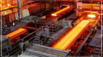 تفاصيل حصرية لأول مرة.. وزير سابق يكشف ما وراء تصفية شركة الحديد والصلب 1